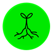 plant icon