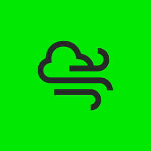 silicone icon